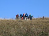 IMG_0391