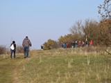 IMG_0392