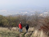IMG_0406