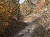 IMG_0413