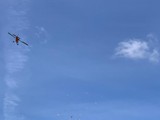 IMG_1161