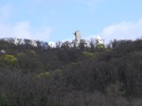 IMG_0469