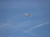 ST_IMG_0077