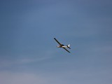 ST_IMG_0102