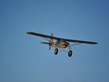 dsc_0021