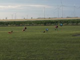 Sonnwendfliegen_2023_21