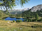 Tauplitzalm 2021 1