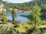 Tauplitzalm 2021 8