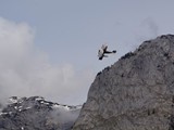 Grundlsee-2022 19