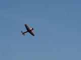 IMG_5685