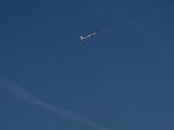 IMG_5718
